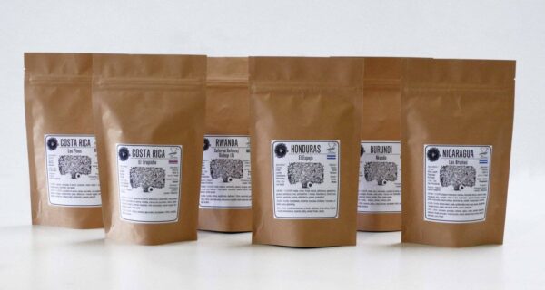 Specialty Coffee Box - immagine 2